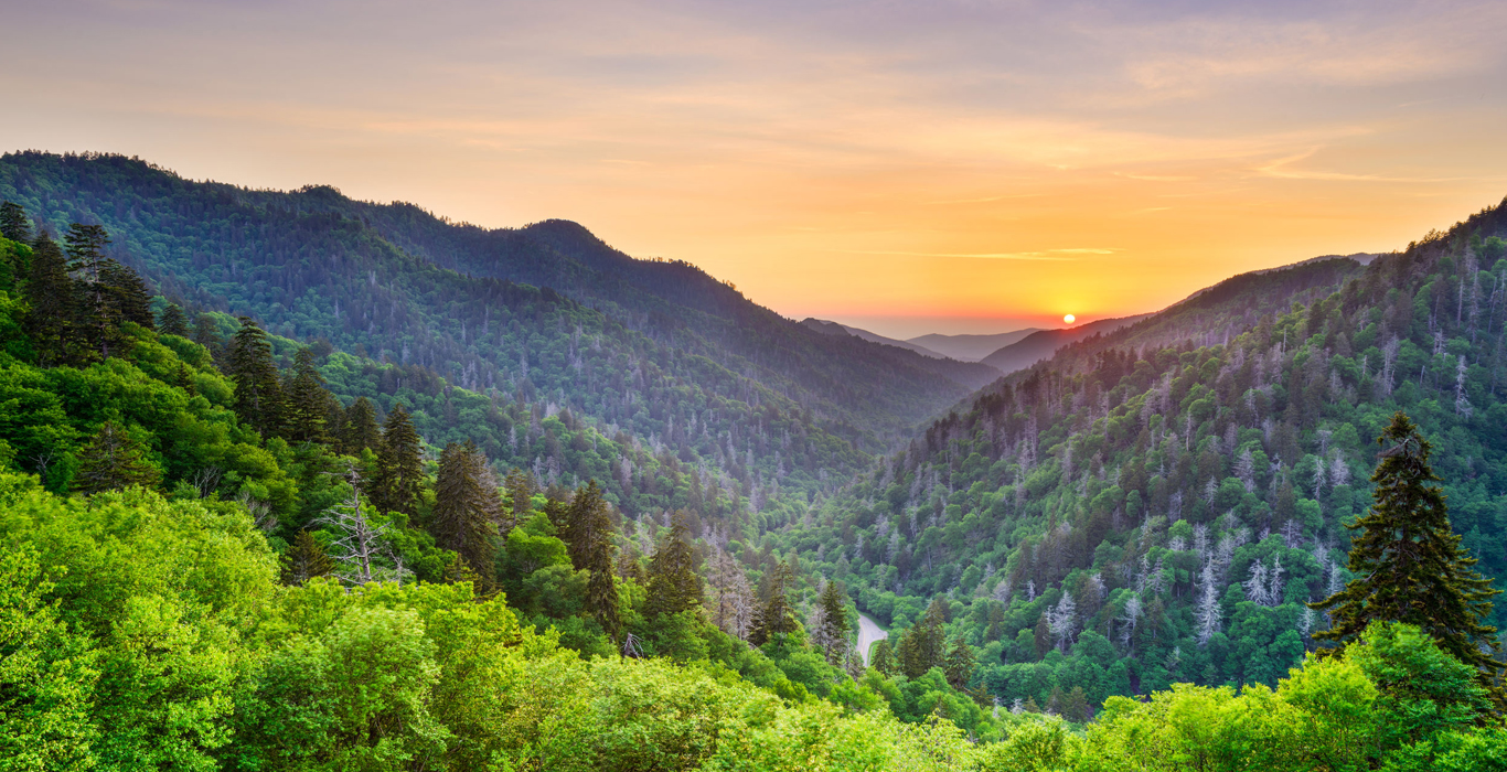 Great Smokey Mountain